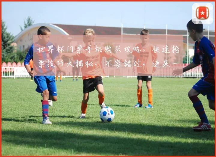 世界杯门票手机购买攻略，快速抢票技巧大揭秘，不容错过，速来一探究竟