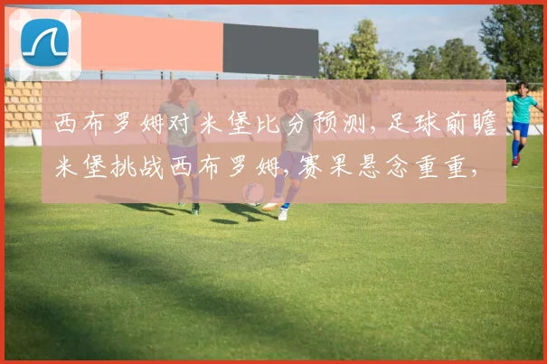 西布罗姆对米堡比分预测,足球前瞻米堡挑战西布罗姆,赛果悬念重重,谁将笑到最后